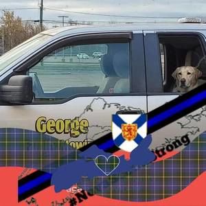 Meet your Posher, Connie joe